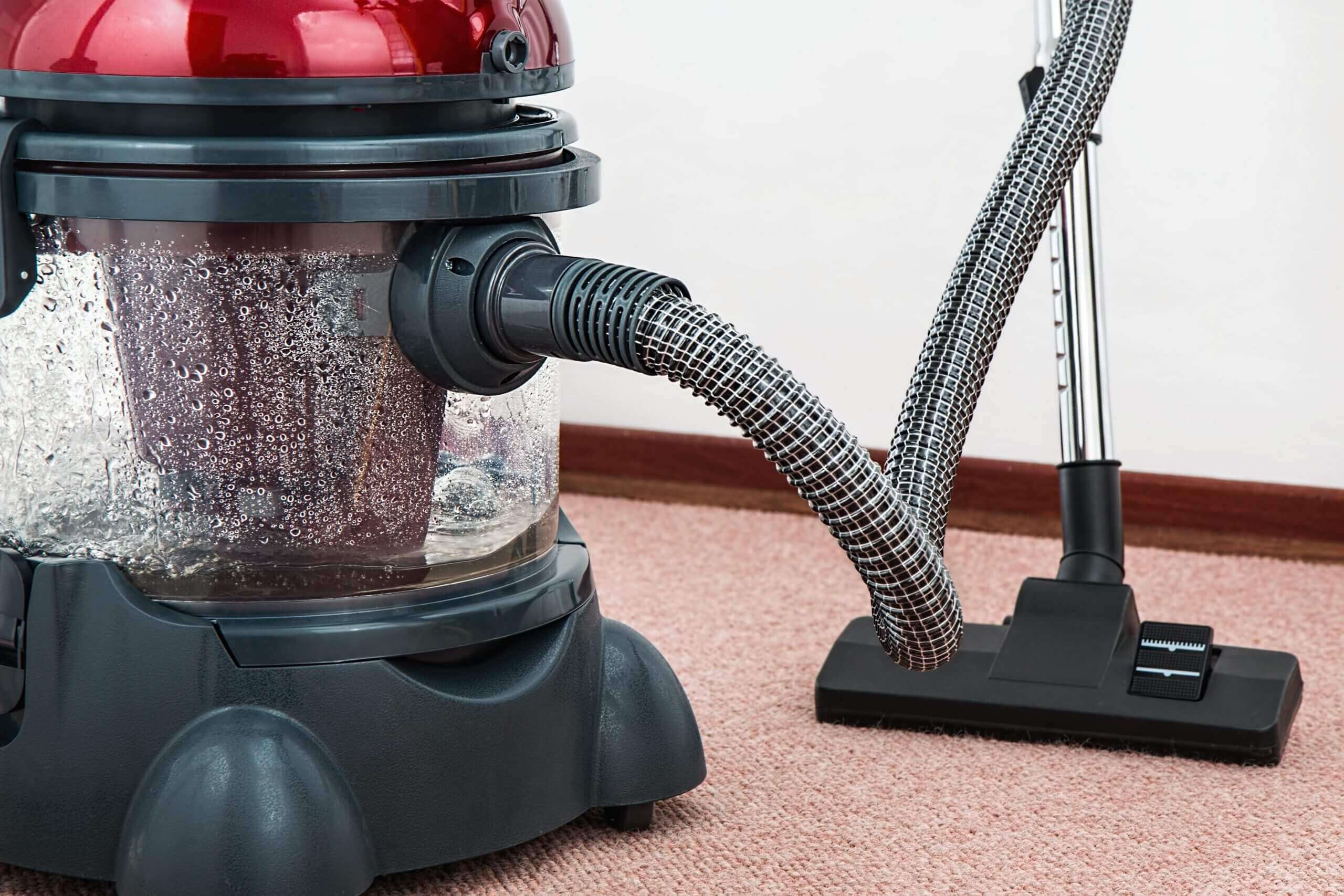 carpet cleaning service