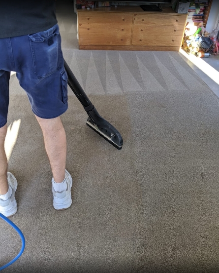 Commercial Carpet Cleaning Auckland